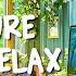 Nature Lofi Relax Dive Into Relaxing Lofi Beats And Chill Lofi For Study Work Relax