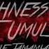 RASHNESS BİTİREMEDİĞİNİZ İŞİ BİR MERMİYLE TAMAMLARIM REMİX