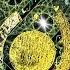 IOI Ankh Eye Sacred Space OMNIQuantum Zero Point Silent Meditation