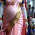 Pregnant Cat Gives Birth At International Airport Cat Animation Funny Kitten Ai Ai Trending