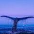 GAIA X Arctic Ocean Original Mix GAIA X MUSIC