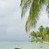 Virtual Beach 10 Hour Peaceful Clear Ocean Calm Waves And Palm Tree Forest