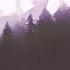 Southern Forest