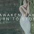 Awaken I Am Turn To Stone Official Video