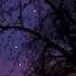Fallen Stars Our Broken Constellations My Take
