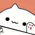 Bongo Cat Señorita Mr Chicken