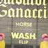 Salvatore Ganacci Horse W A S H Flip