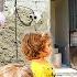Anis S Efforts To Build Her House For Custody While Pregnant