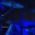 Ian Brown I Wanna Be Adored LIVE Subtitulado Ingles Español