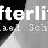 Michael Schulte Afterlife Acoustic Karaoke