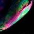 PREMIERE Novem Vivit Feed Your Soul Original Mix