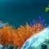 Fridrik Karlsson Under Sea Paradise Dream Away