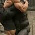 Gorilla Vs Man