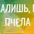 мёд минус