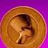Soldi Lyric Mahmood Ft Maikel Delacalle