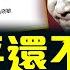 習近平頑固勢力策劃反撲 叛黨 為名造勢 拿下鄭雁雄 除名苗華 打疼習近平遺老遺少 北京 火流星 預警習 不老實 的下場 大宇拍案驚奇 Live