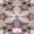 Damien Rose Sacred