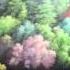 Gin Iro No Kami No Agito OP 720p KOKIA Chouwa Oto With Reflection English Lyrics