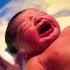 New Normal Delivery 2025 New Shorts Youtube Shortsviral Cute Baby Trending Viralvideo