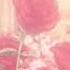 I Ll Die Anyway By Girl In Red Slowed Down