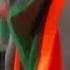 Yowissa And The Love His Life Football Africa Afcon2023 Yowis