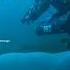 The Pyrosome Is A Giant Worm Sea Monster That Lives In The Ocean
