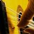 Jesse Cook Tuesday S Child Spanish Guitar Instrumental Acoustic