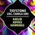 Zac Tiefstone Camila Ar Kaelid Extended Mix