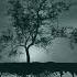 The Smiths There Is A Light That Never Goes Out Doomer