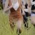 Rodney Atkins Caught Up In The Country Official Music Video