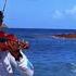 Jelani Moses Tarrusrileyja She S Royal Violin Reggae Cover