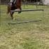 Flew Over 90cm Armani EQ