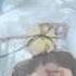 Naruto Shippuden OST 1 Track 13 Kodoku Loneliness