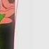 Ame To Kusari AMV