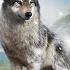 Wolf Game Wild Animal Wars Part 4 Walkthrough Gameplay Wolfgame