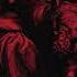 Siberian Hell Sounds The Breath Of The Beast 2017 Black Metal Crust Punk