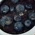 How To Grow Blueberry Plant Fruit Plant Howtowithjessie