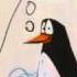 Le Pingouin Du Pole Nord