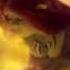 Shrek Forever After Shrek Disappears Scene