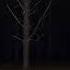 номер 444 Whoisnewell Mapt0v Dope17 Dontlose Kurokov Kristiee Music Foryou Fypyoutube