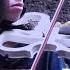 Blackpink Pink Venom Violin Cover Adisantosa