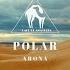 Polar