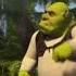 Shrek Mocks Donkey