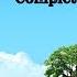 Animal Crossing New Leaf Music 5PM Fan Made 1 Hour