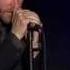 The National Terrible Love HQ