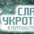 Слабейшая укротительница в путешествии по сбору питомцев ВСЕ СЕРИИ 1 12 аниме анимемомент