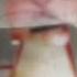 EL GATO IN MY MIND Plslikesubscribe