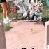 Cleaning A Baby S Grave For Free