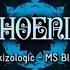 Skizologic MS Blast