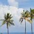 Holiday Inn Ponce El Tropical Casino Puerto Rico Travel With Yogeshwari